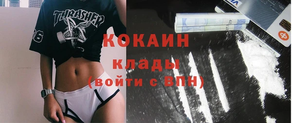 Альфа ПВП Гусев