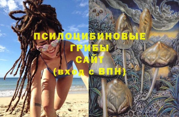 Альфа ПВП Гусев
