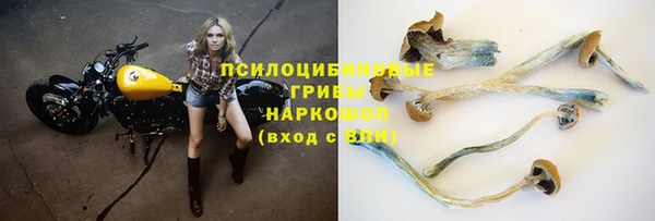 Альфа ПВП Гусев