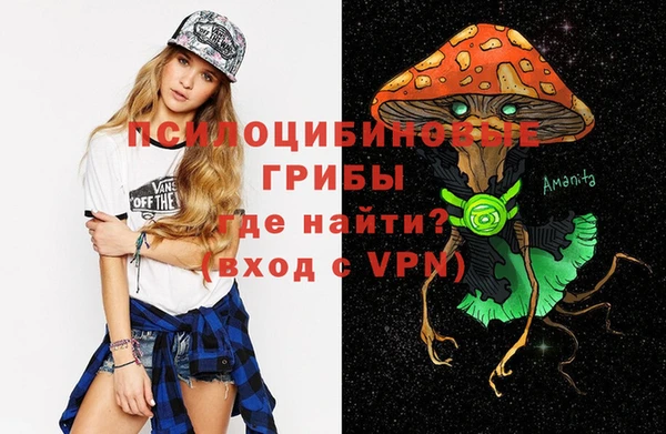 амфетамин Гусь-Хрустальный